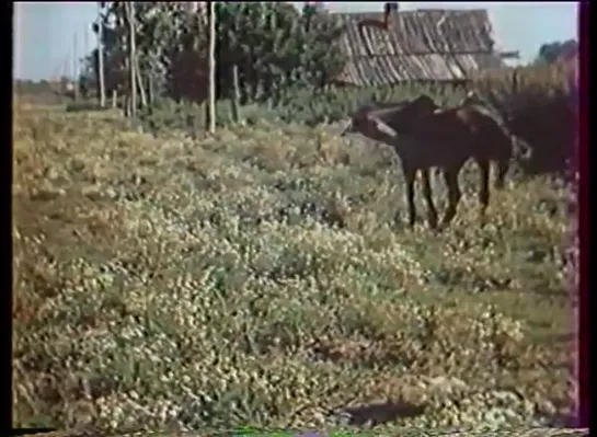 д/ф - Живы  будем...(1990) реж.Юрий Шиллер, оператор Сергей Чавчавадзе