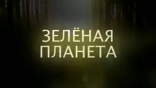 Трейлер Зеленая планета