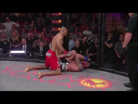 Лучшие моменты Bellator 67