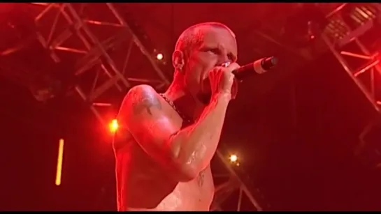 Clawfinger - Nigger [Live @ Woodstock Festival Poland 2009]