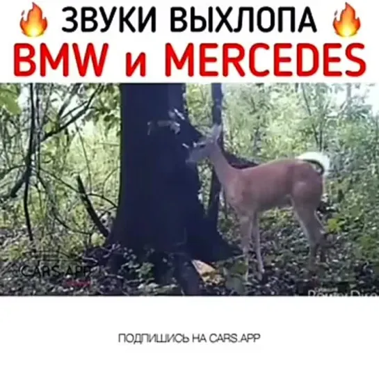 zvuki-vixlopa-mercedes-i-bmw_(VIDEOMIN.NET).mp4