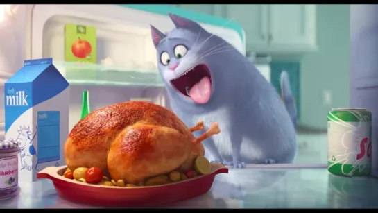 The Secret Life Of Pets - Official Teaser Trailer (HD)