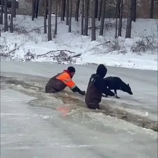 Есть еще на свете добрые люди. Молодцы.