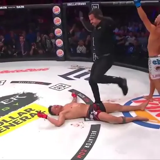 Хуан Арчулета - Эдуардо Дантас [Bellator 222]