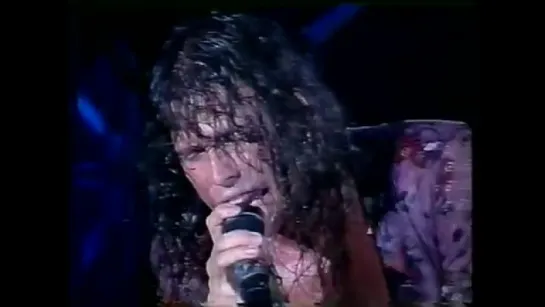 Aerosmith - Cryin'. Live  Hollywood Rock Festival, Rio de Janeiro 1994.