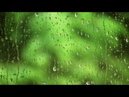 Rain On My Window