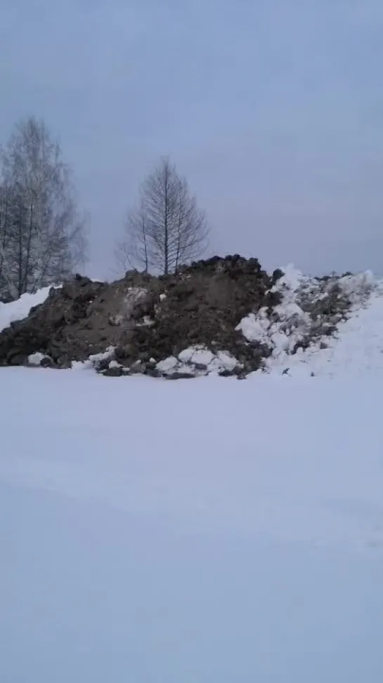 Видео от Дарьи Крупской