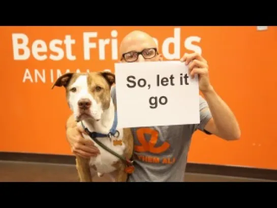 Moby - Almost Home (Best Friends Animal Society Lyric Video) (with Damien Jurado)