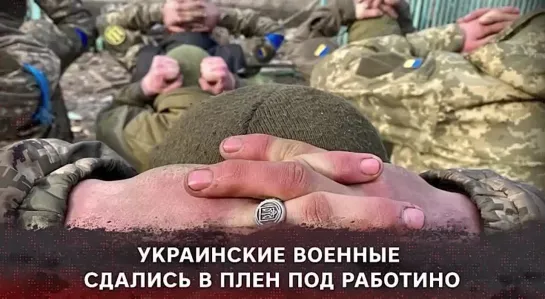 Украинские военные сдались в плен