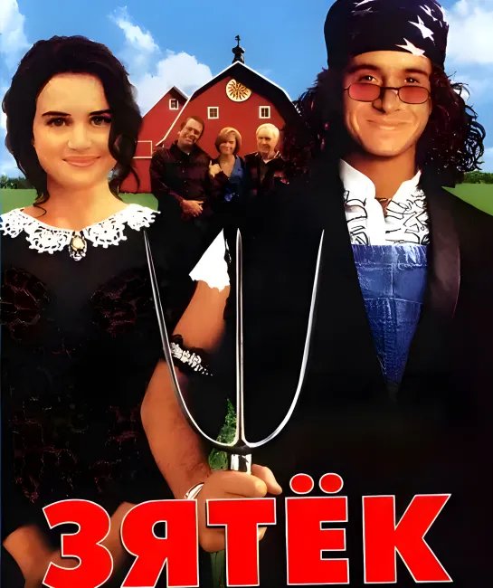 Зятёк (1993)