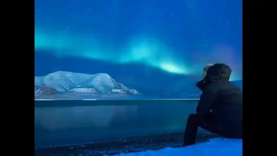 Leo Rojas - At Night I Think Of You