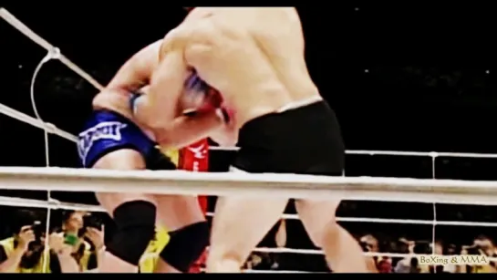 MMA ★ MIRKO Cro Cop FILIPOVIC -- Highlights - Knockouts