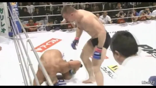 Mirko Cro Cop - Highlights