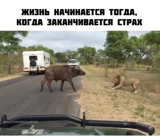 Видео от «Больше» чем йога