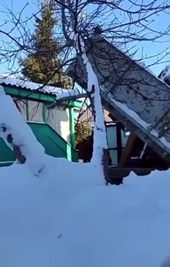 Видео от Дины Цимбаленко