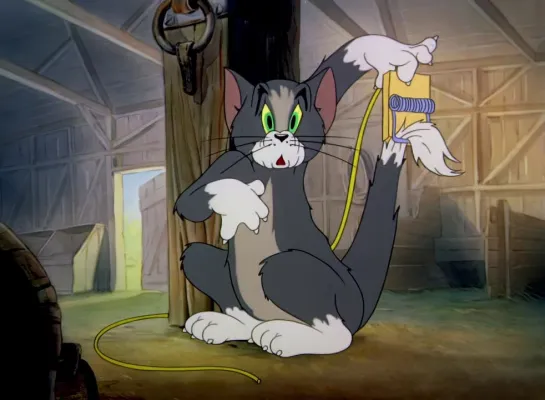 Tom and Jerry: Fine Feather Friend