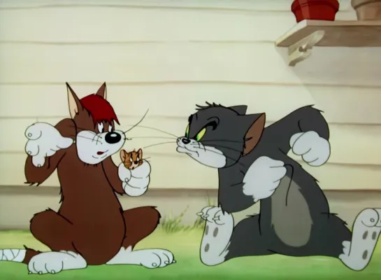 Tom and Jerry: Sufferin' сats!