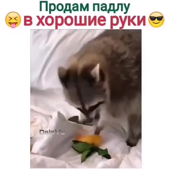 Видео от Анны Метельковой