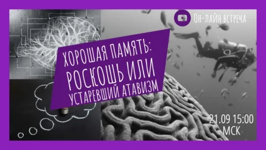 Хорошая память: Роскошь или устаревший «Атавизм»?