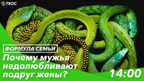 Почему мужья недолюбливают подруг жены?