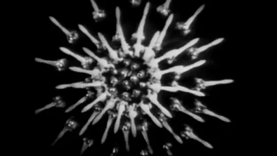 Busby Berkeley - Dance Until The Dawn (from MGM's Flying High and Happy Landing, 1931)