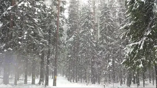 Зеленогорск, 15.04.2017, на лыжной трассе "Прибой"