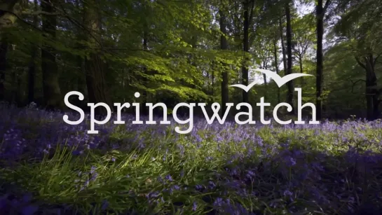 Springwatch.S19E12