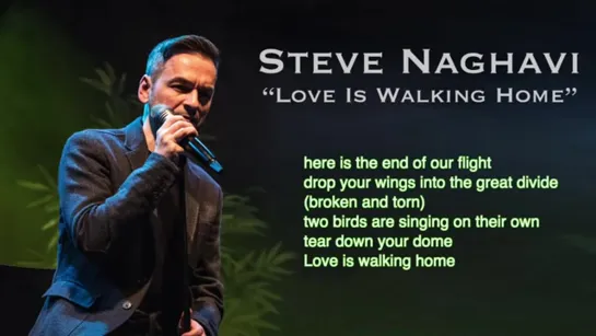 Steve Naghavi - Love Is Walking Home (Official Lyrics Video)