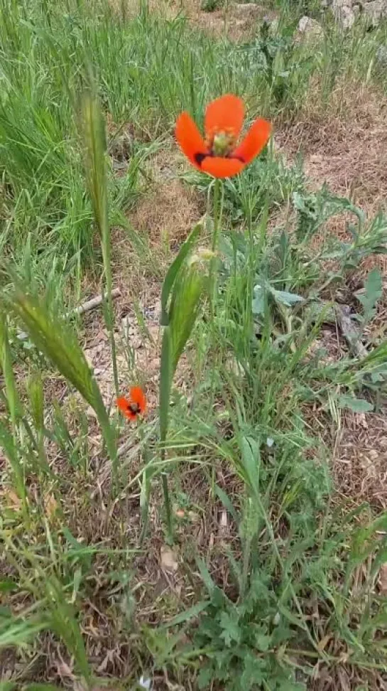 Видео от Татьяны Липатовой