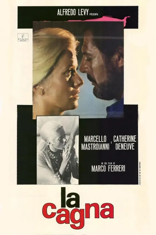 La cagna (1972) 720p.