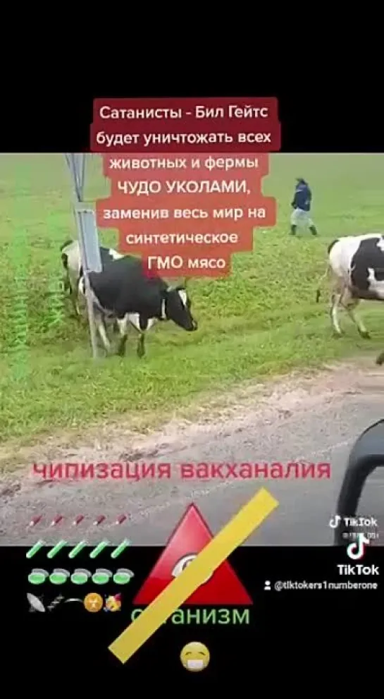 Видео от Яны Вершининой