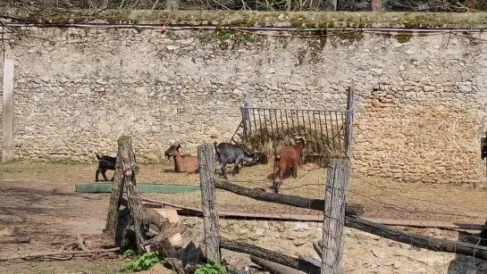 SUNDAY IN  VERSAILLES _ НАШ ВЫХОДНОЙ В  ДЕРЕВНЕ КОРОЛЕВЫ