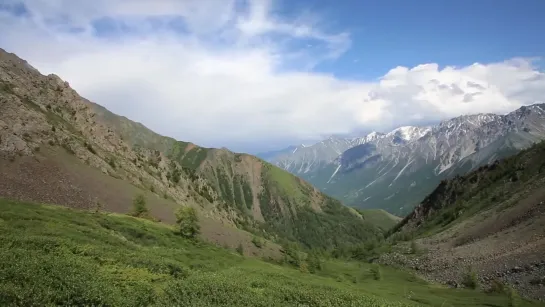 Горный Алтай. В заповедном Аргуте (фильм Ивана Усанова). Сибирь. Снежный барс. И