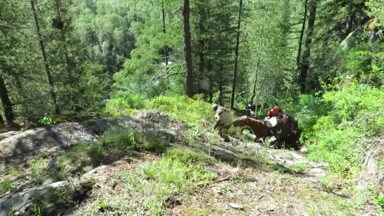 Заповедник у истоков Катуни. Katunsky reserve. Altai. Siberia. Алтай гора Белуха