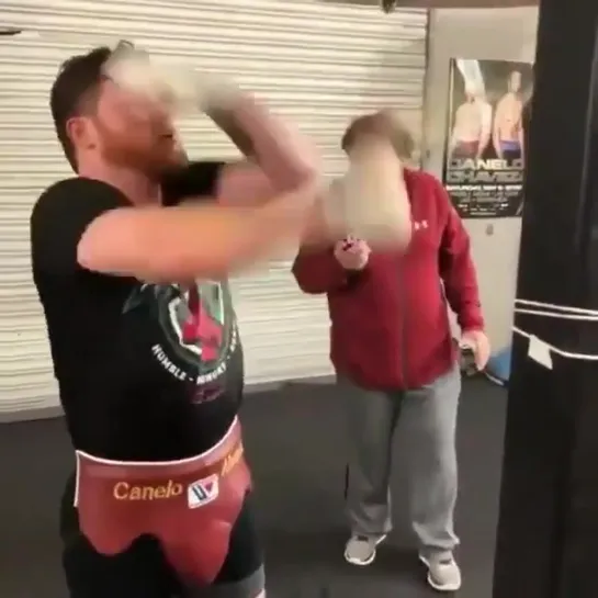 4mma canelo