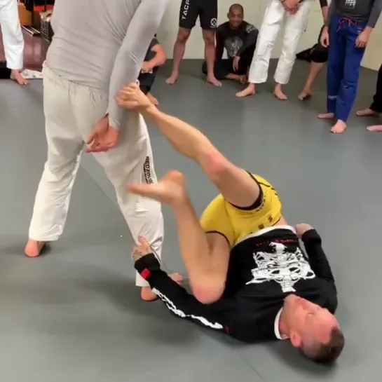 4mma bjj