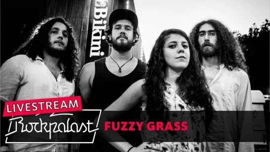 Fuzzy Grass - 2024-05-31 - Freak Valley Festival, Netphen, Germany