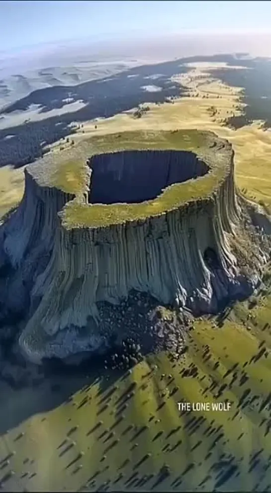 🌳Это пенёк гигантского древнего дерева?