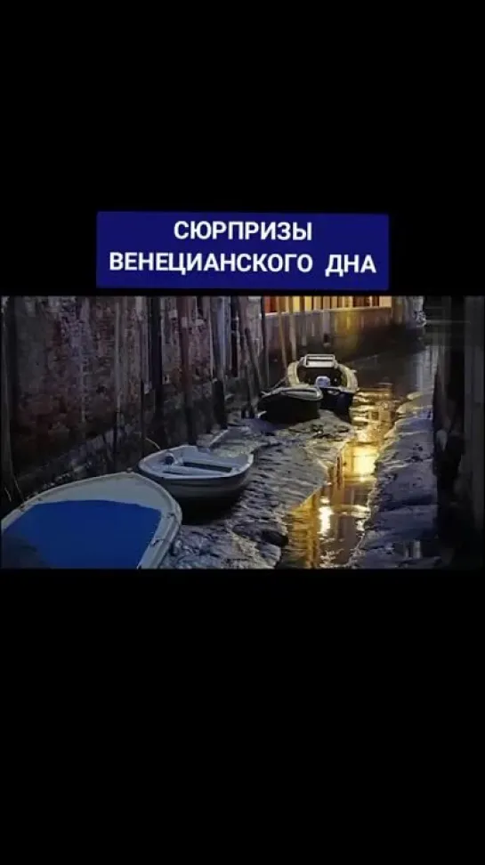 🌊 Тайны венецианского дна!