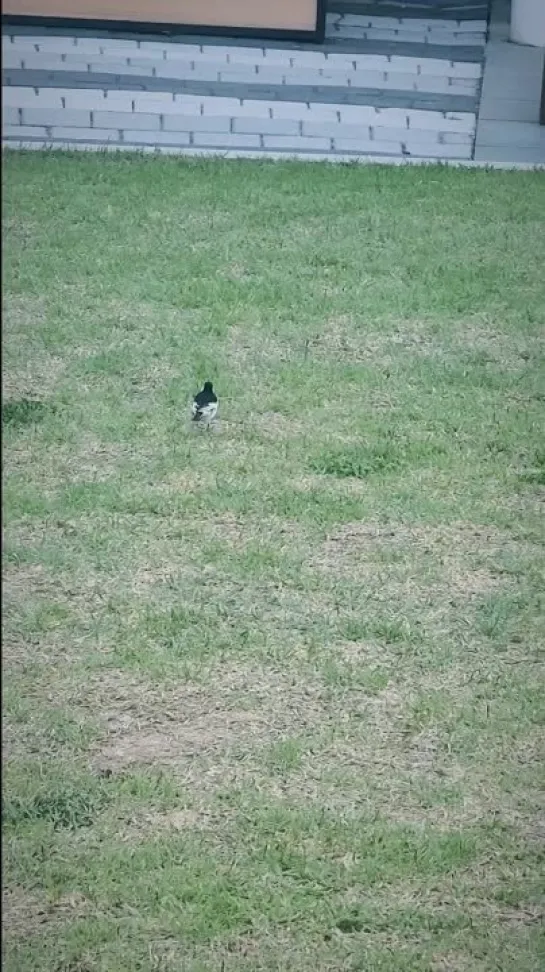 Видео от Юлии Даниловой