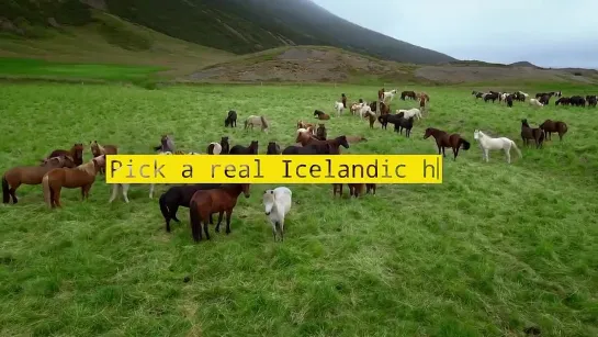 Туристическая организация «Visit Iceland»