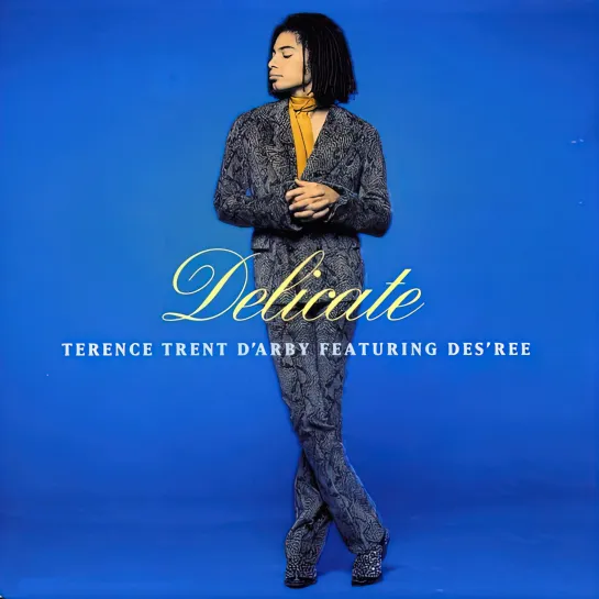 Terence Trent D'Arby - Delicate (feat. Des'ree,1993. Remastered,1080)