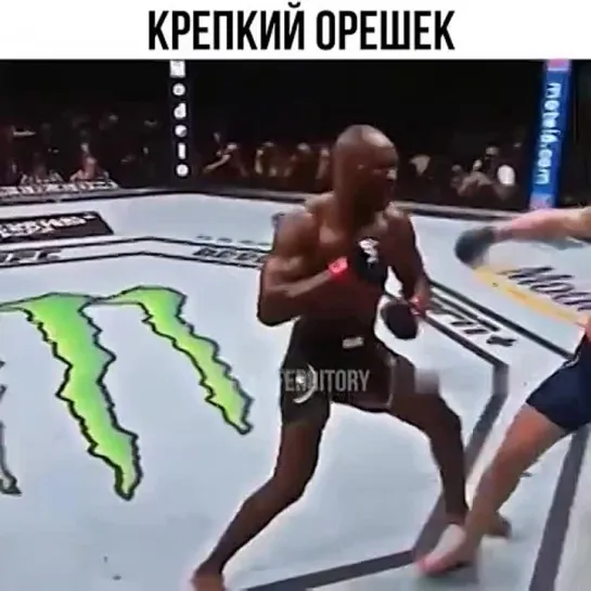 Крепкий орешек