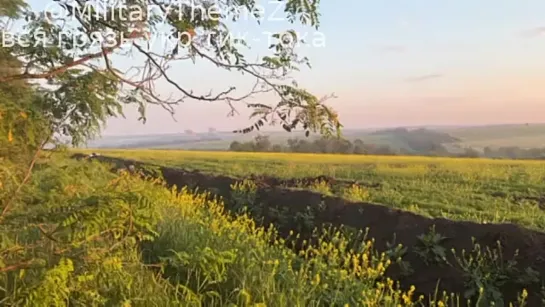 Видео от Риты Суховерховой