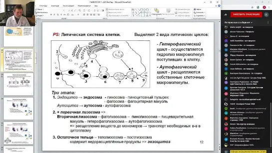 [Кафедра медицинской биологии СЗГМУ] Структурно-функциональная организация клетки. Органоиды