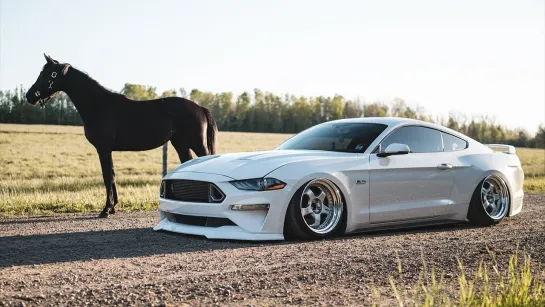 Jordan's Bagged Mustang