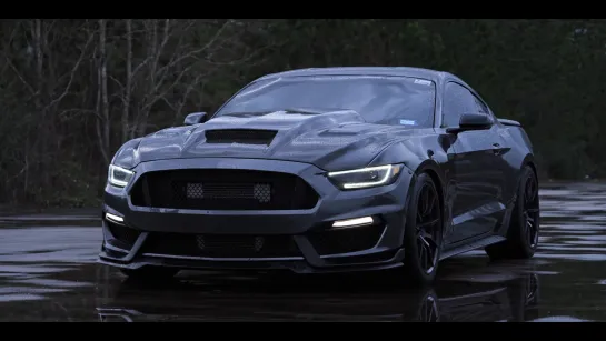 Procharged Mustang 5.0