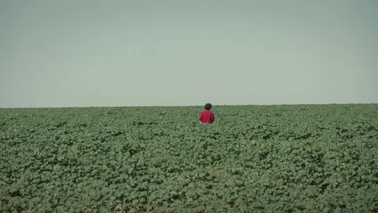 Se hace camino al andar (2020) dir. Paula Gaitán