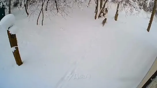 Видео от ПЛОХИЕ НОВОСТИ