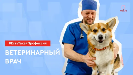 #ЕстьТакаяПрофессия: Ветеринарный врач